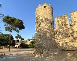 Terreny rústic en venda a Carrer del Berguedà, imagen 11