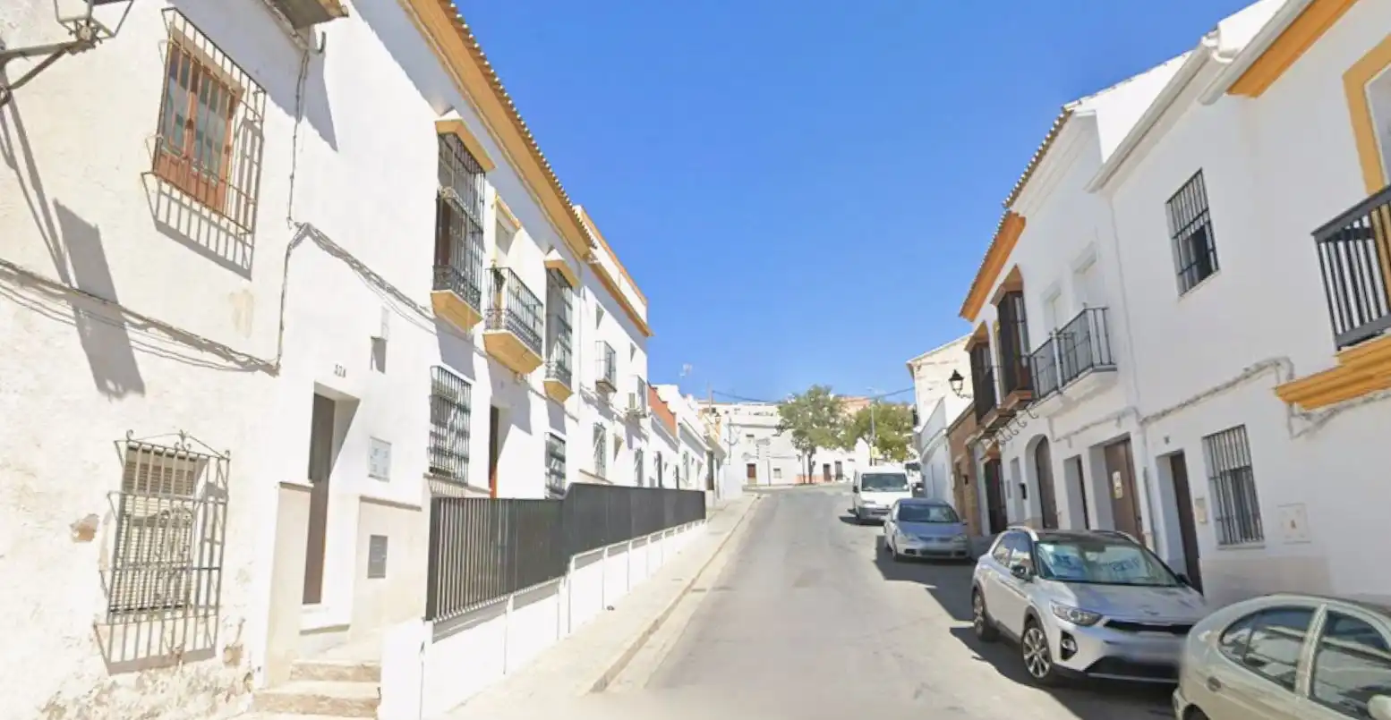 Exterior view of Houses for sale in Osuna, Sevilla