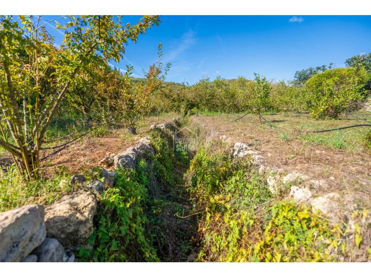 Maison rustique avec jardin à vendre à Alaior poble, imagen 18