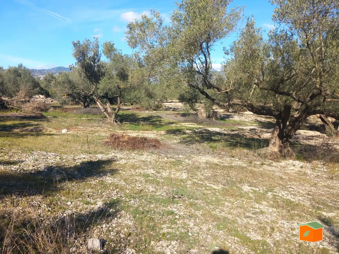 Terreno rustico in vendita a Mas de Barberans, imagen 13