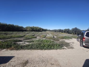Terreno rustico in vendita a Diseminado Cr Alcantarilla 115