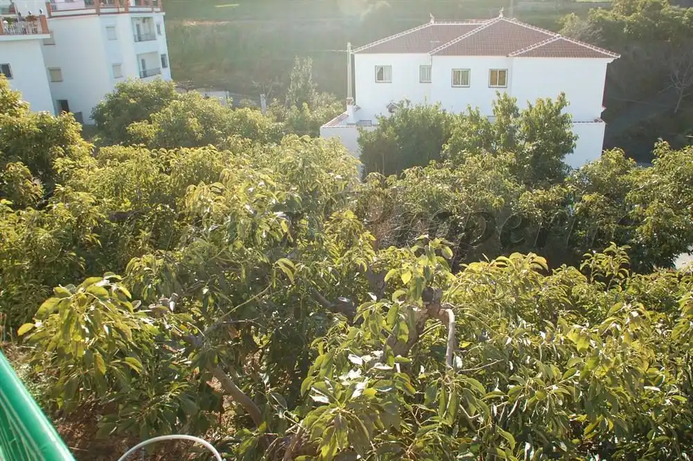 Terreny residencial en venda a Canillas de Albaida, imagen 3