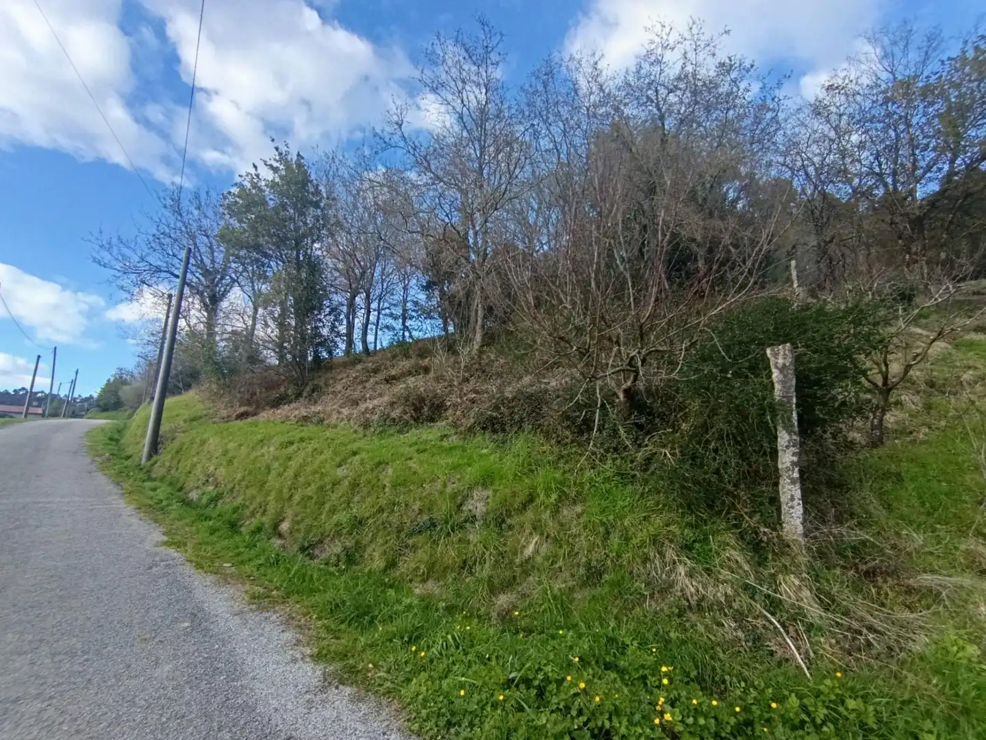 Residential zum Verkauf in Meis