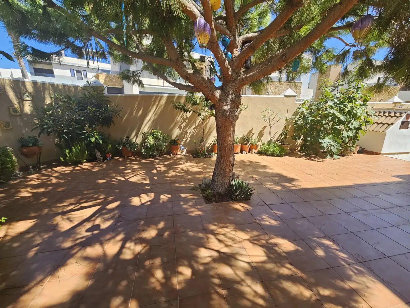 Jardín de Casa o chalet en venta en Torrevieja con Aire acondicionado, Jardín privado y Terraza