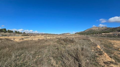 TERRENO RURAL EN VENTA EN LA ROMANETA MONÓVAR