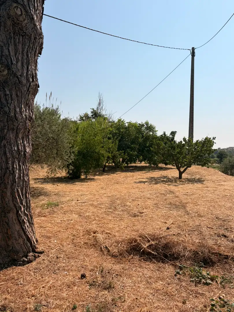 Terreny en venda en Les Borges Blanques