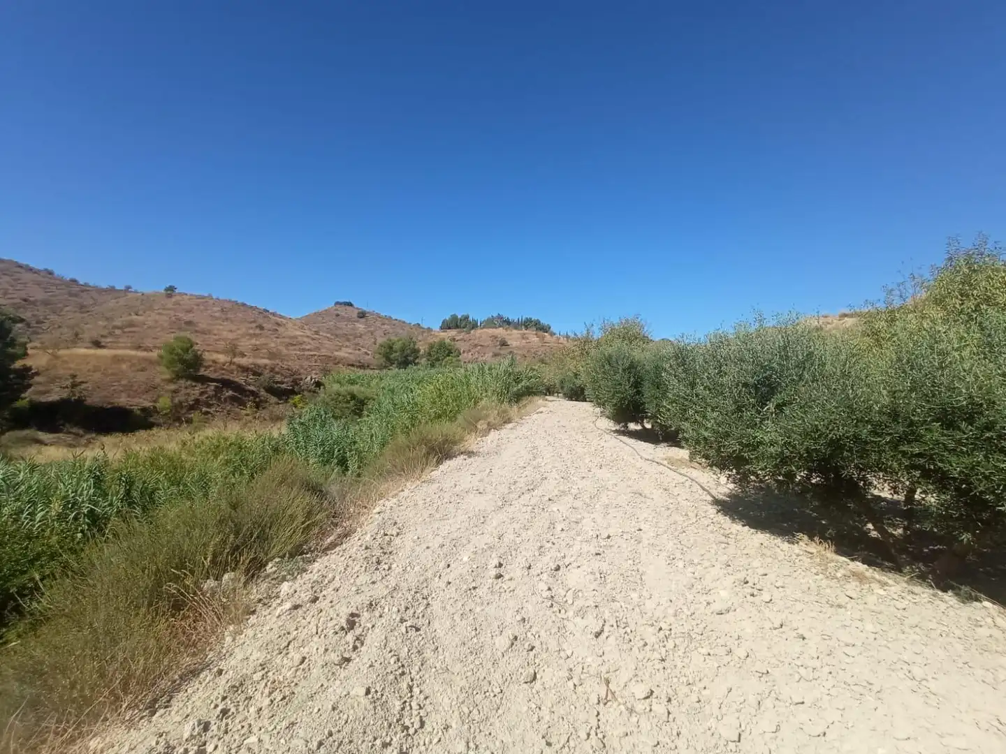 Terrains et parcelles à vendre à Pedanías Norte, imagen 6
