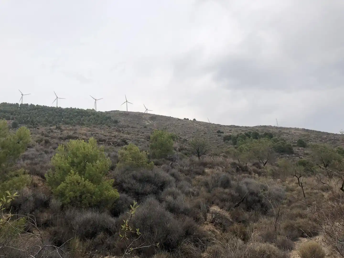 Finca rústica en venda en Enix