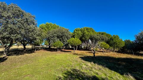 Foto 5 de Casa o xalet en venda a Calle del Lomo, Puentes Viejas, Madrid