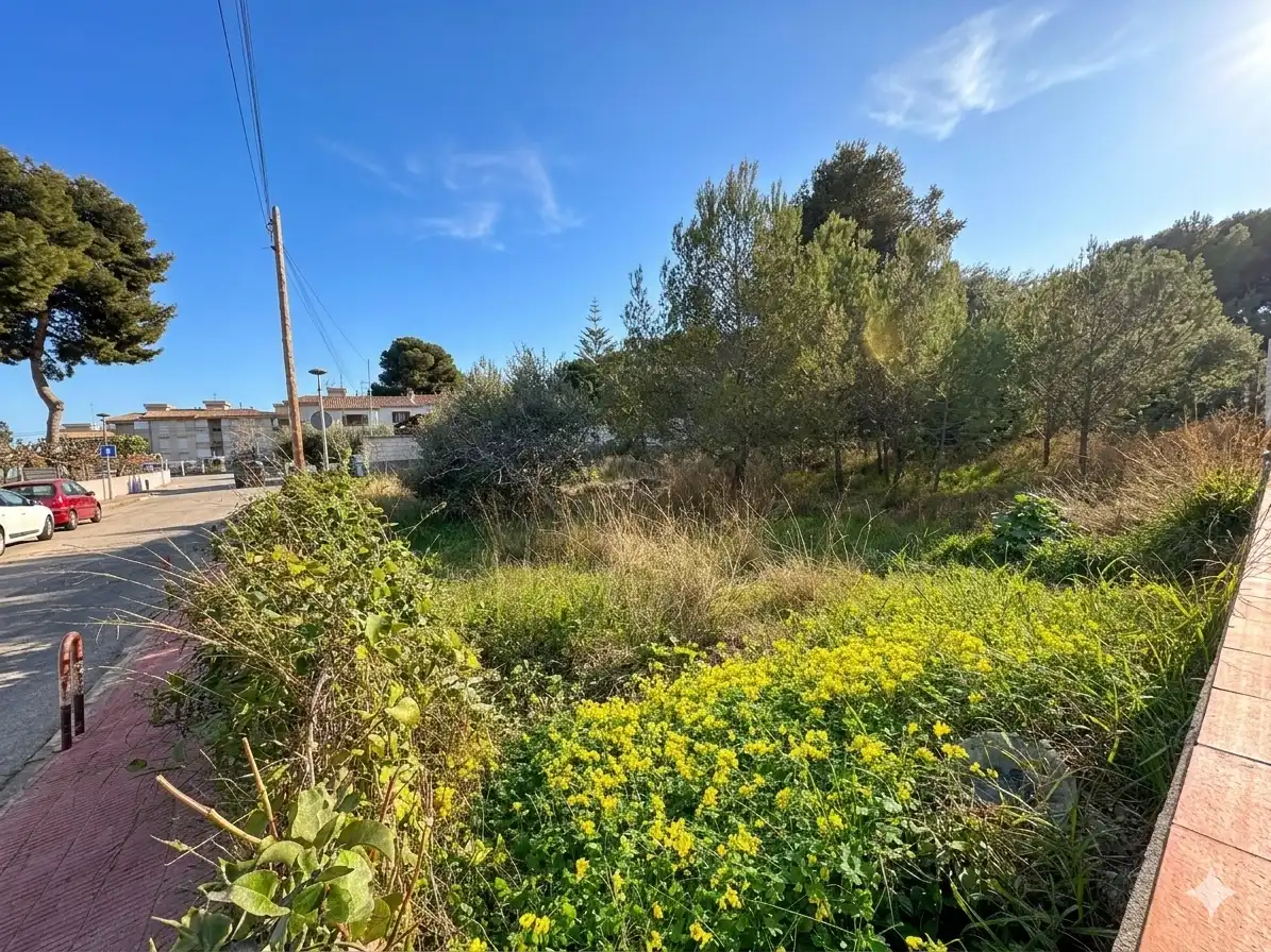 Casa o chalet en venta en Carrer Tomàs Breton, 26, El Francàs