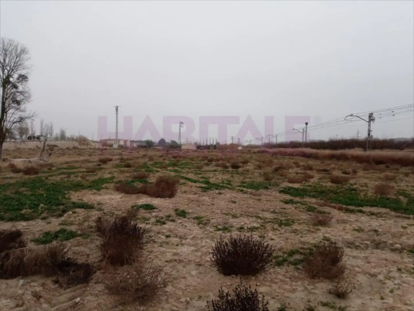 Terreni e lotti in vendita a El Burgo de Ebro, imagen 19