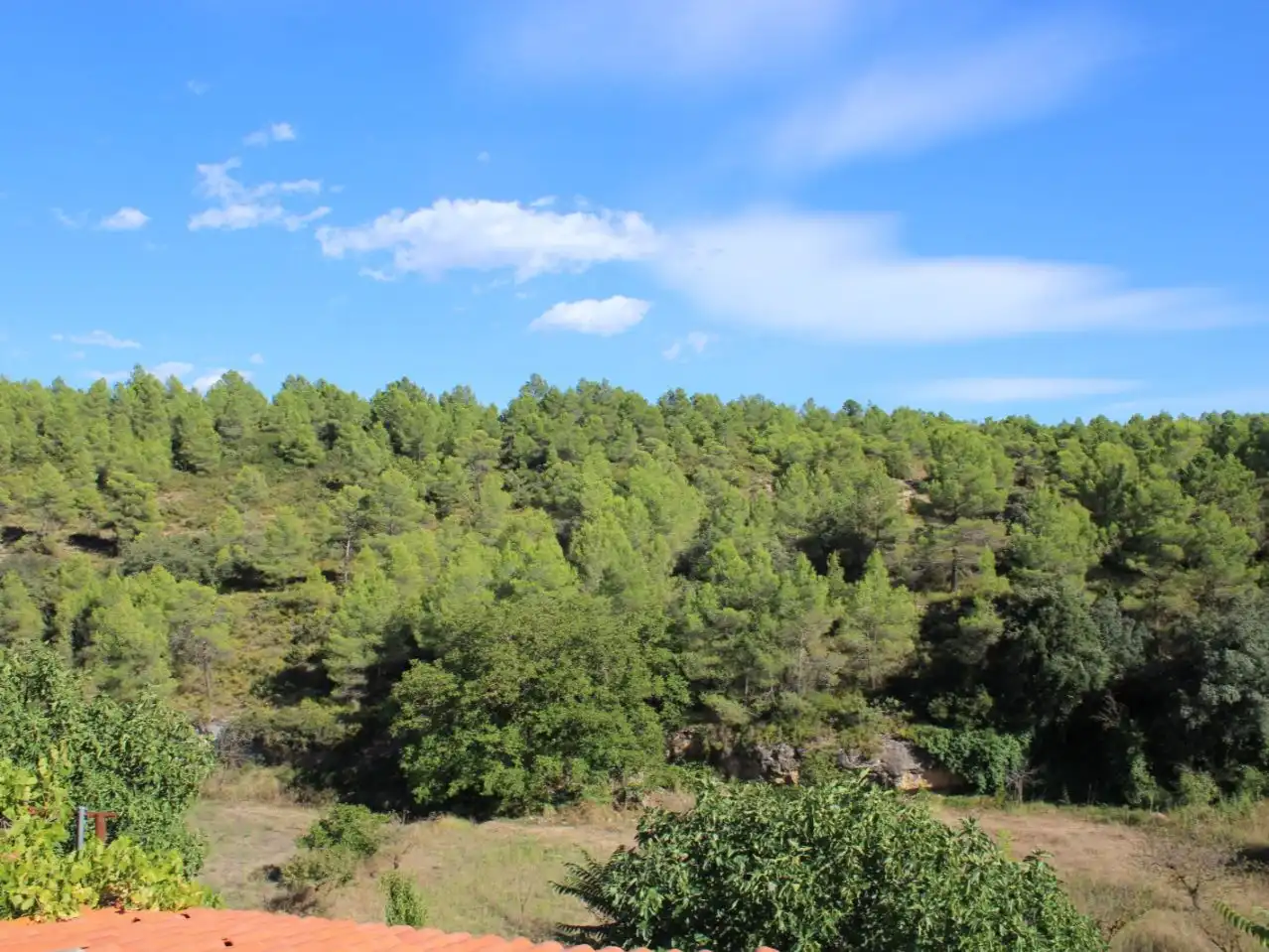 Country homes for sale in Enguera