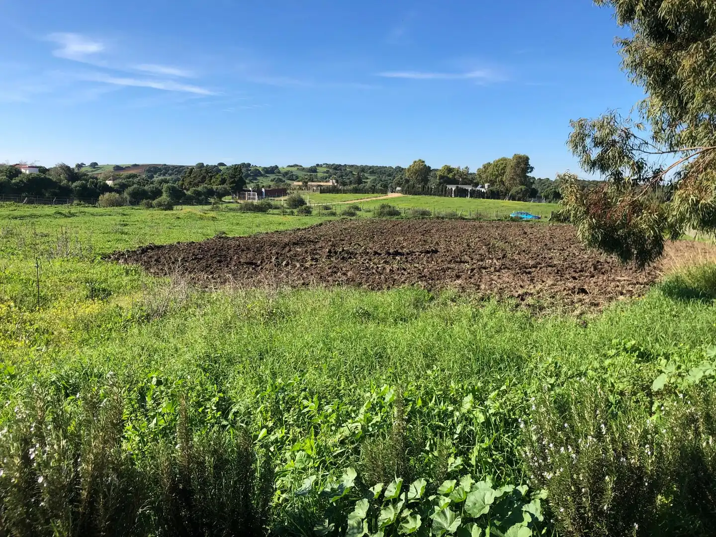 Country house for sale in Vejer, imagen 22