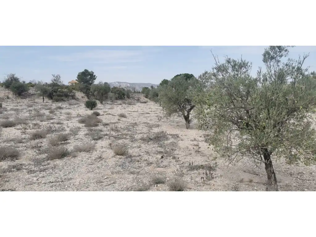 Terreno residenziale in vendita a Salinas, imagen 18