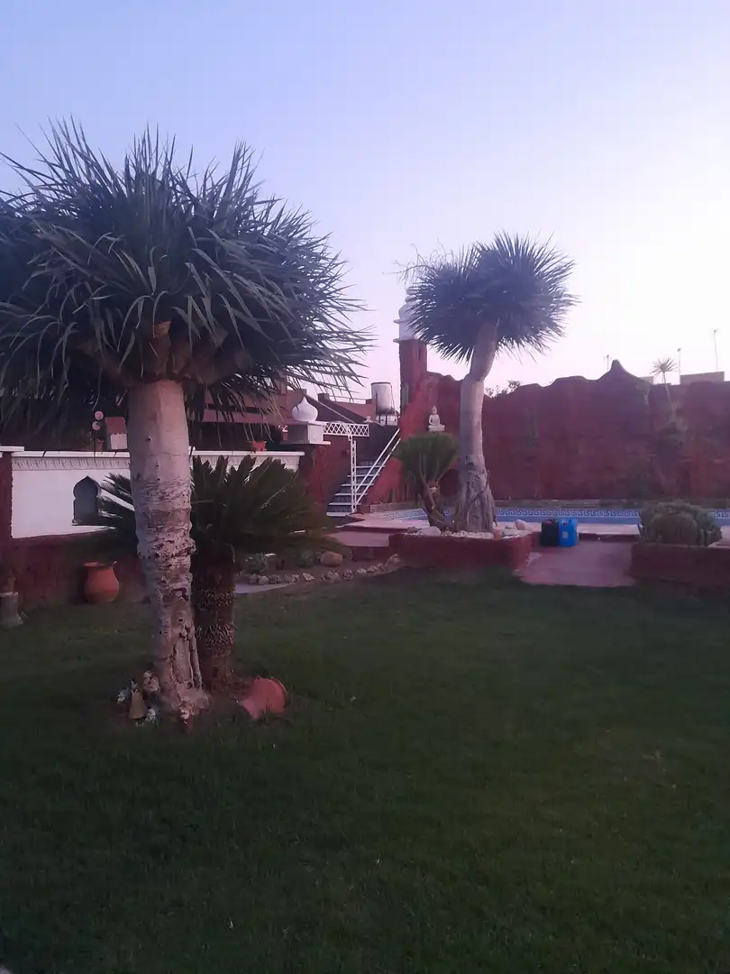 Jardín de Casa o chalet en venta en Brenes con Aire acondicionado, Jardín privado y Piscina