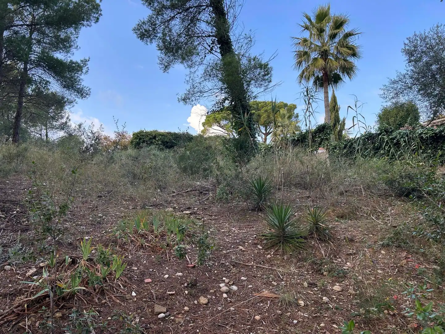 Rustikales Grundstück zum Verkauf in CAN FELIU, imagen 25