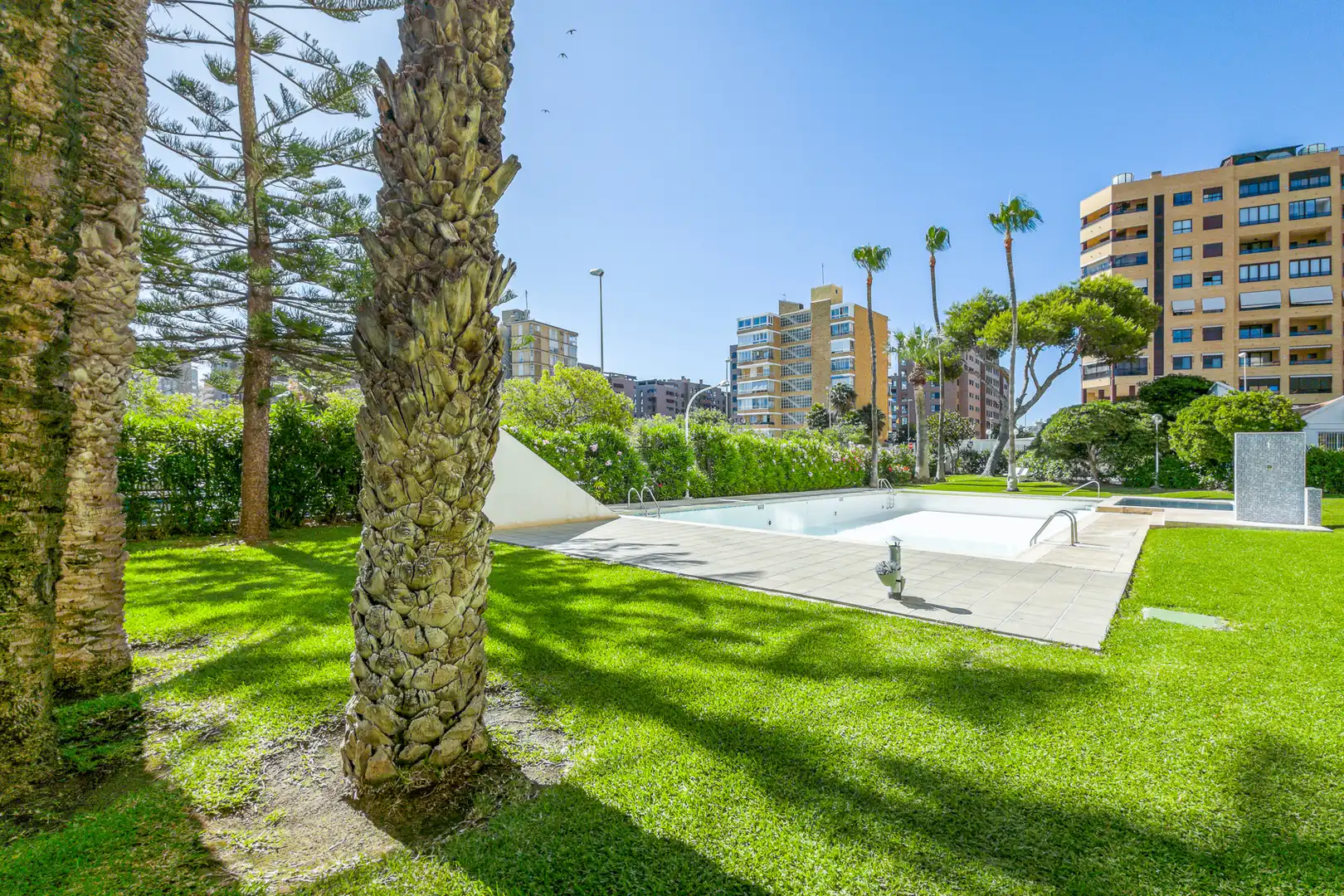 Piscina de Piso en venta en Alicante / Alacant con Aire acondicionado, Terraza y Amueblado