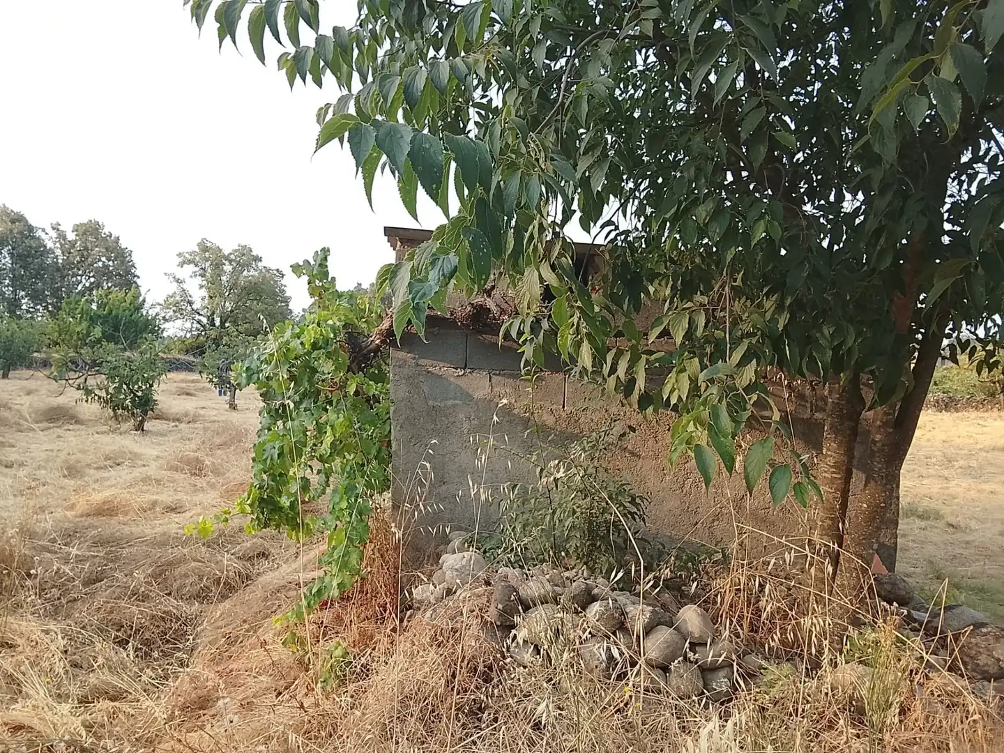Terreni e lotti in vendita a Villanueva de la Vera, imagen 30