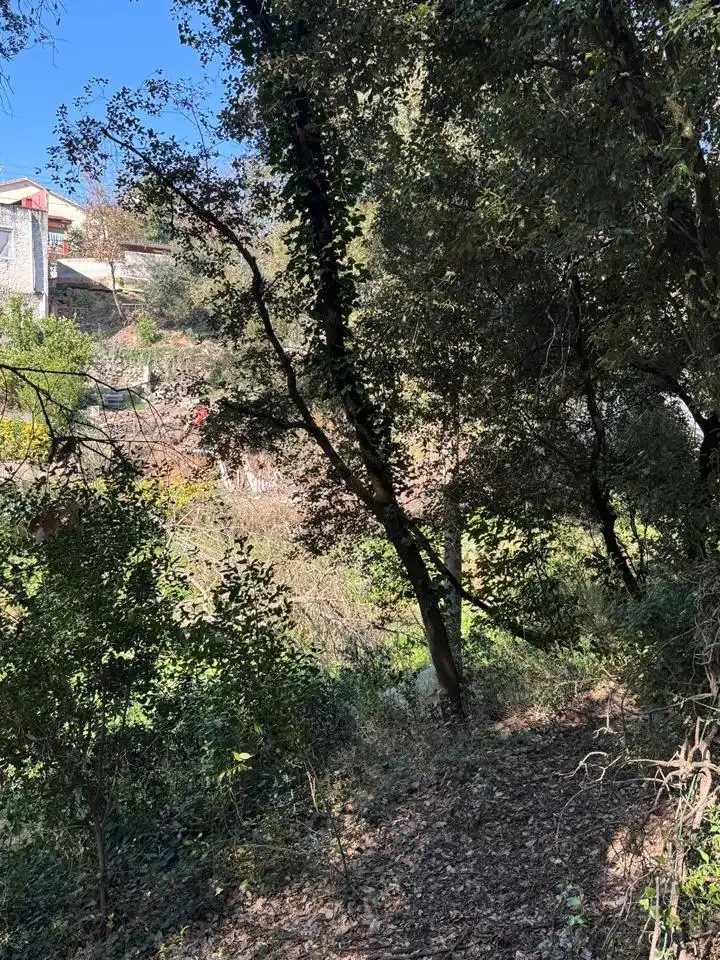 Grundstücke und Bauplätze zum Verkauf in De Lluis Millet, imagen 33
