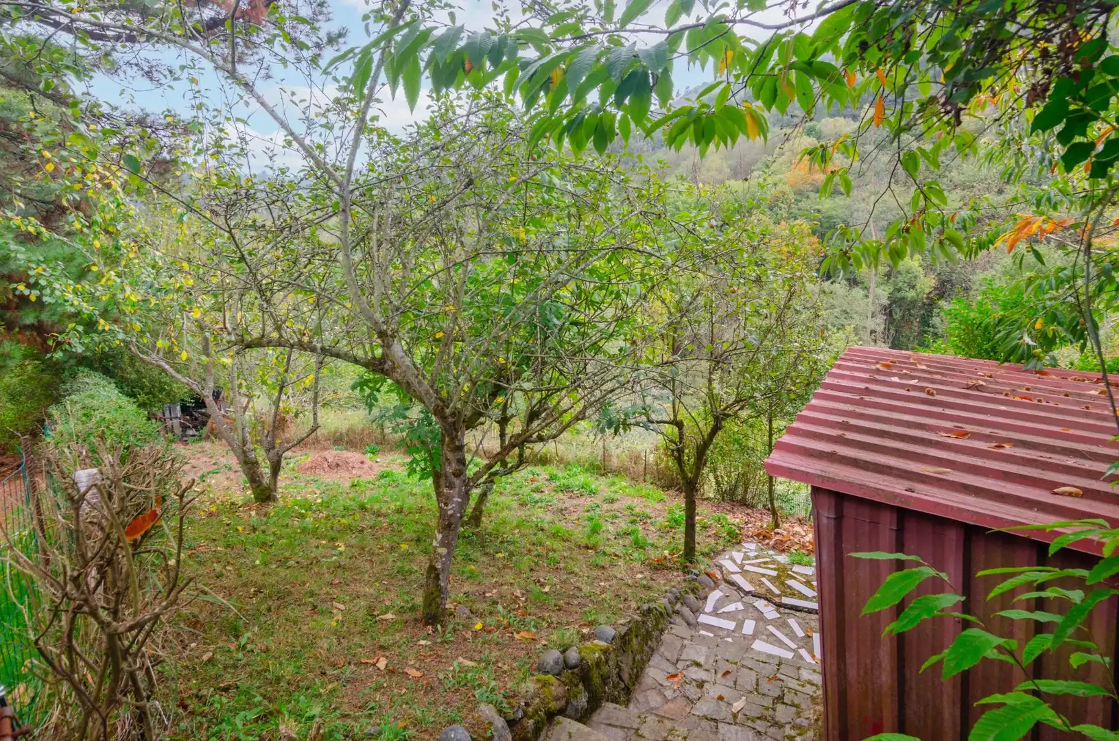 Jardí de Finca rústica en venda en Mieres (Asturias) amb Jardí privat i Moblat