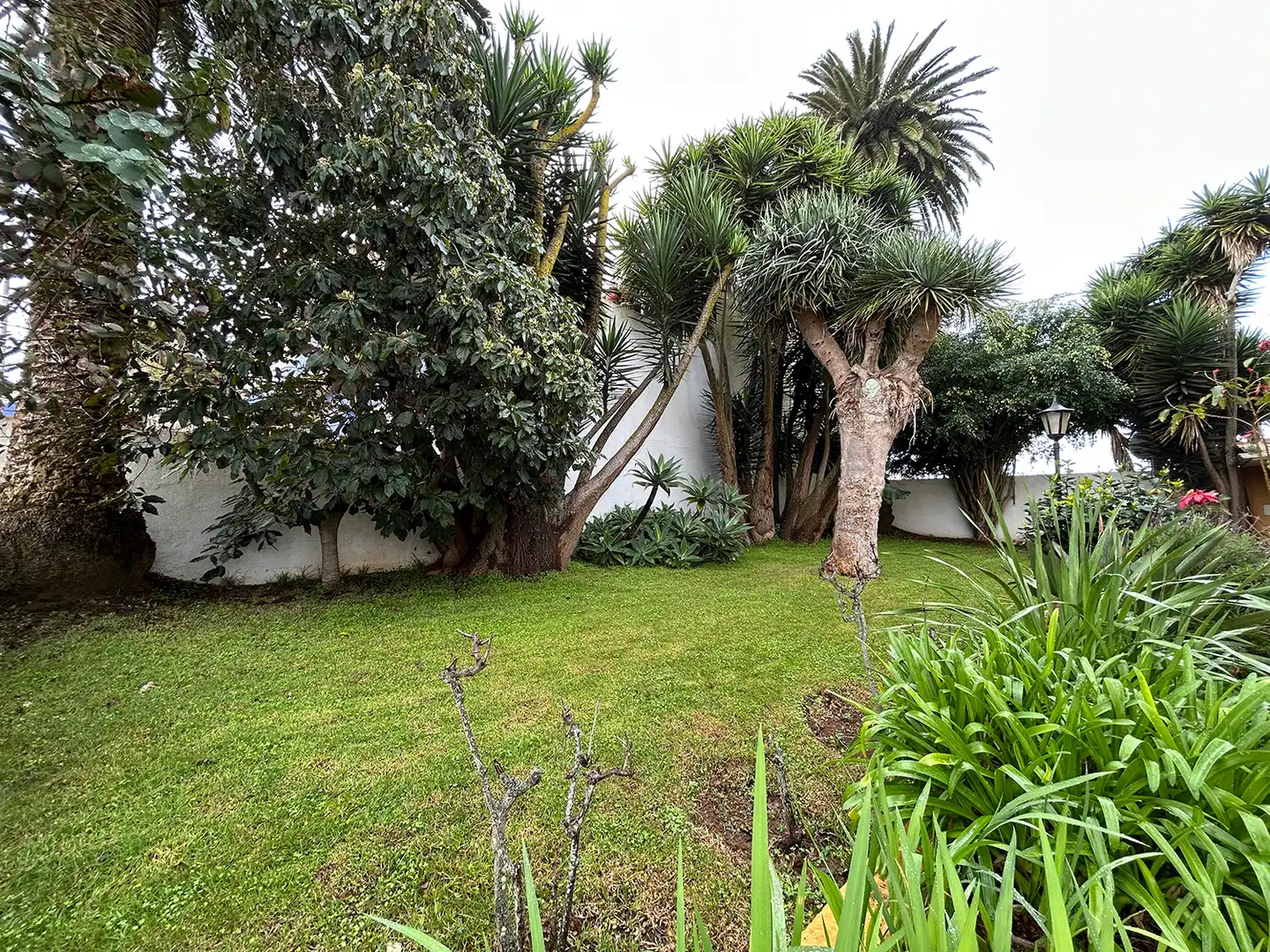 Casa o chalet en venta en Calle Suprema, Guamasa - El Ortigal - Los Rodeos