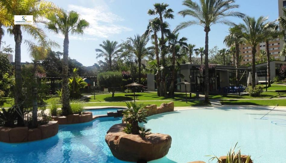 Foto 1 de Pis de lloguer a Playa de San Juan, Alicante