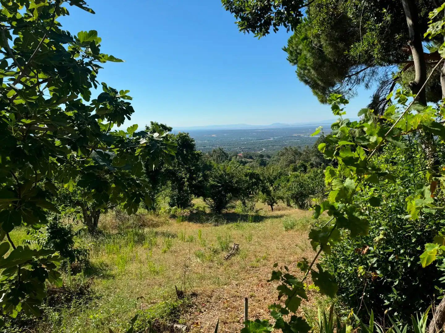 Terreni e lotti in vendita a Candeleda, imagen 4