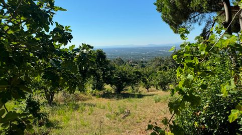 Finca con licencia para 6 apartamentos rurales, immagine 4