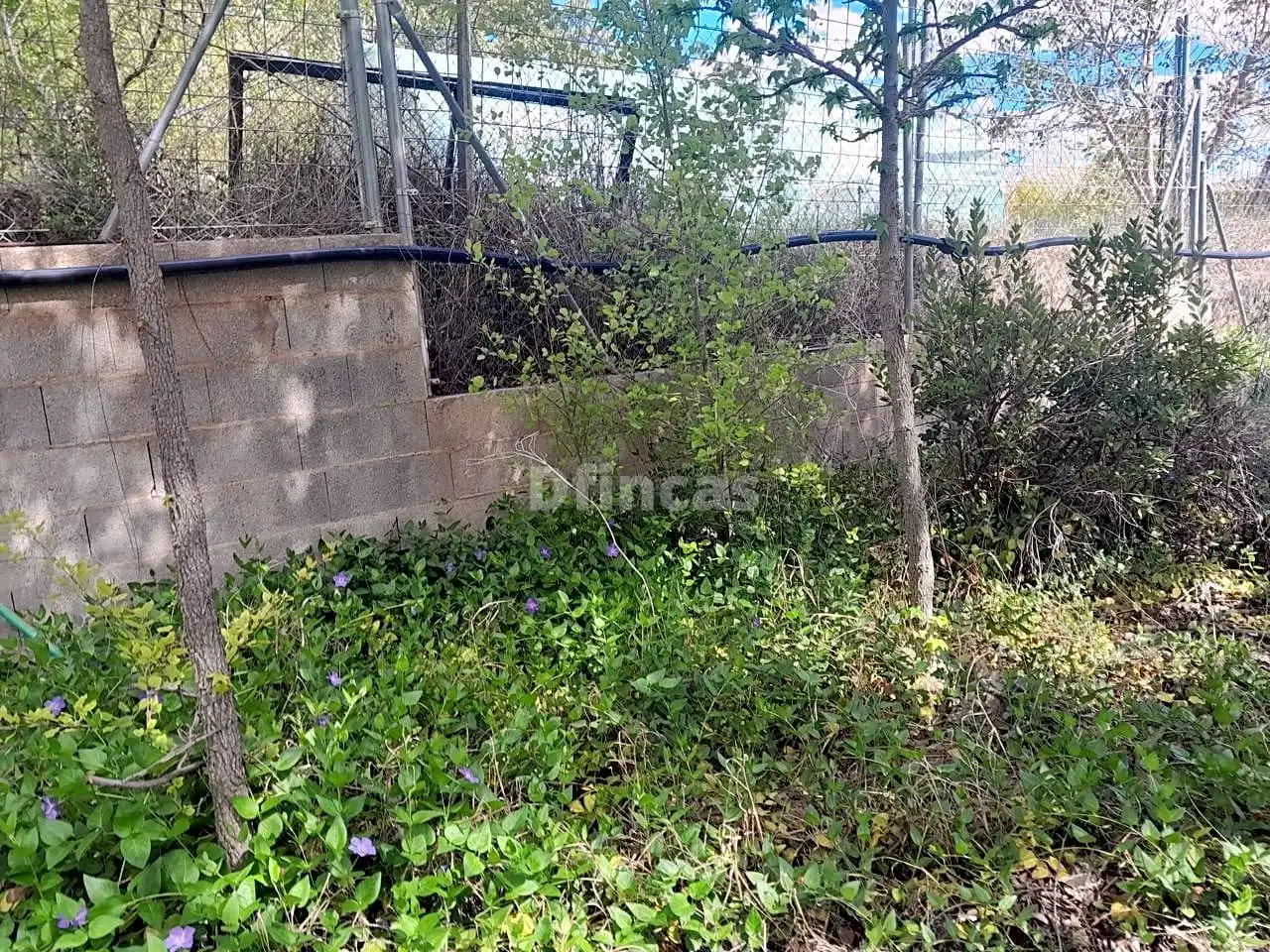Terreni e lotti in vendita a poligono 49, Coscojar 336, imagen 6