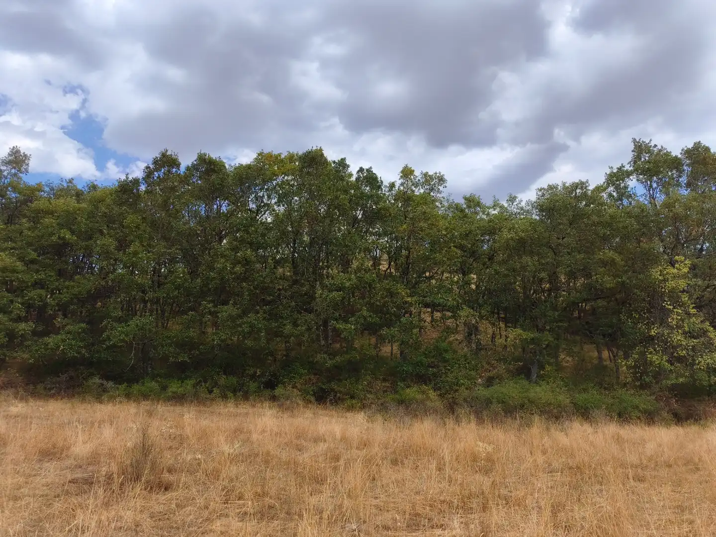 Terreno en venta en Piñuécar-Gandullas