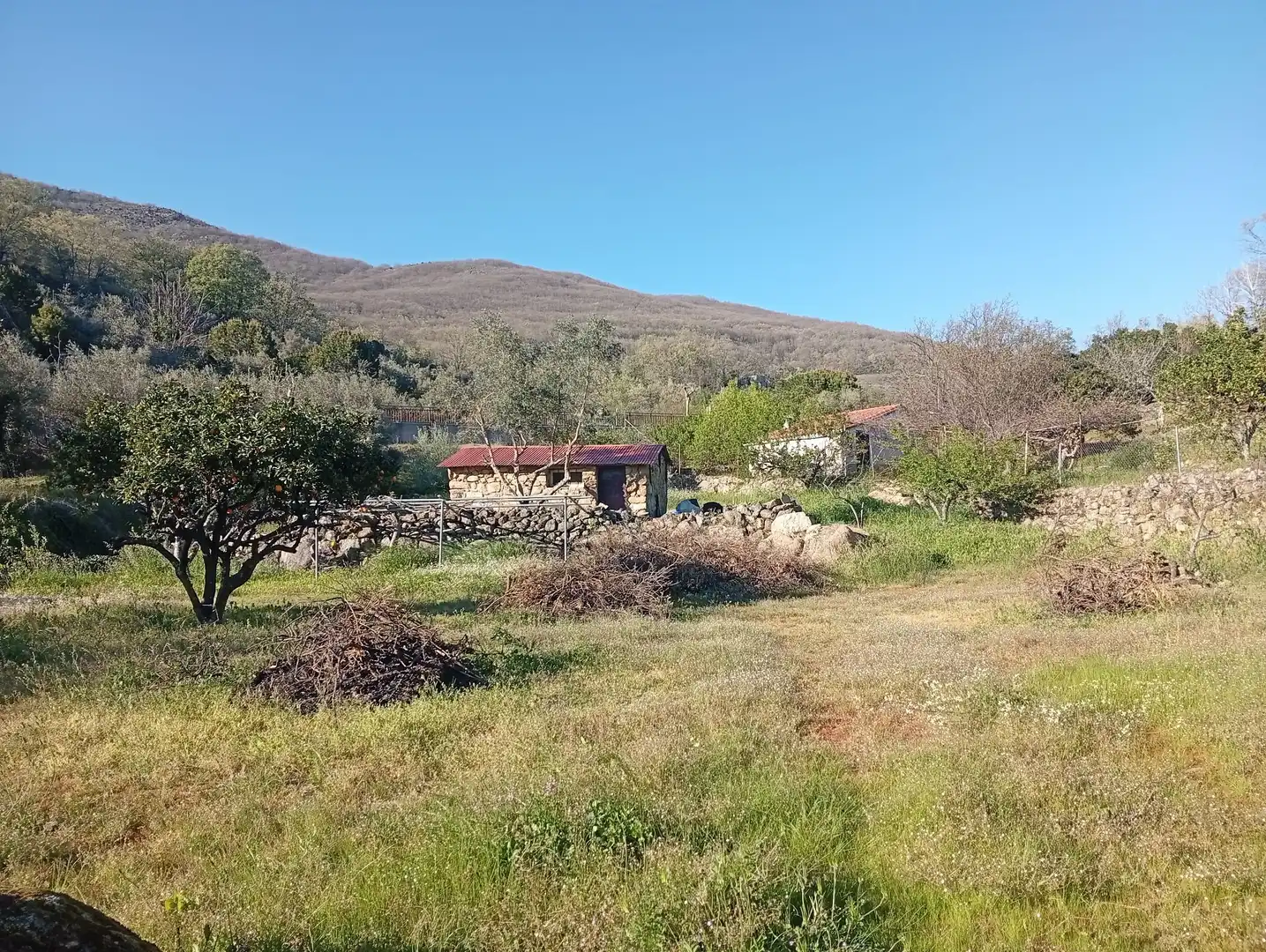 Terreno en venta en Valverde de la Vera