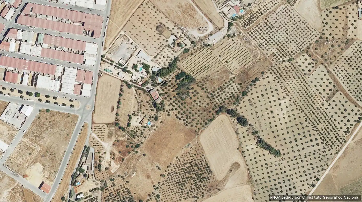 Rural land for sale in Mairena del Alcor, imagen 2