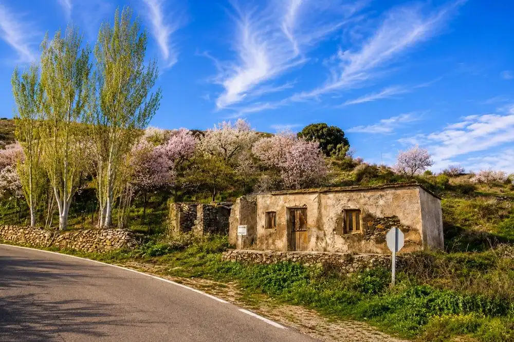 Rural land for sale in Carretera A-4131, imagen 6