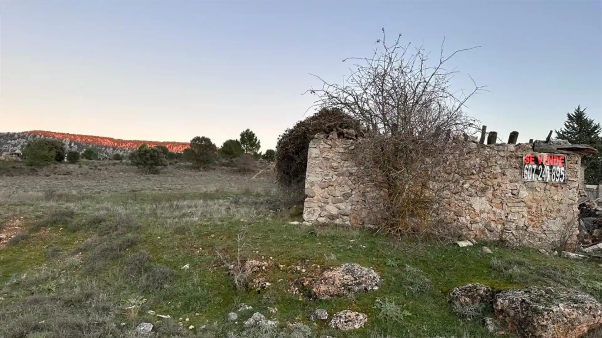 Land for sale in Cañamares