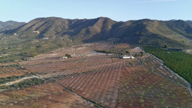 Terreno en Venta en Pulgara