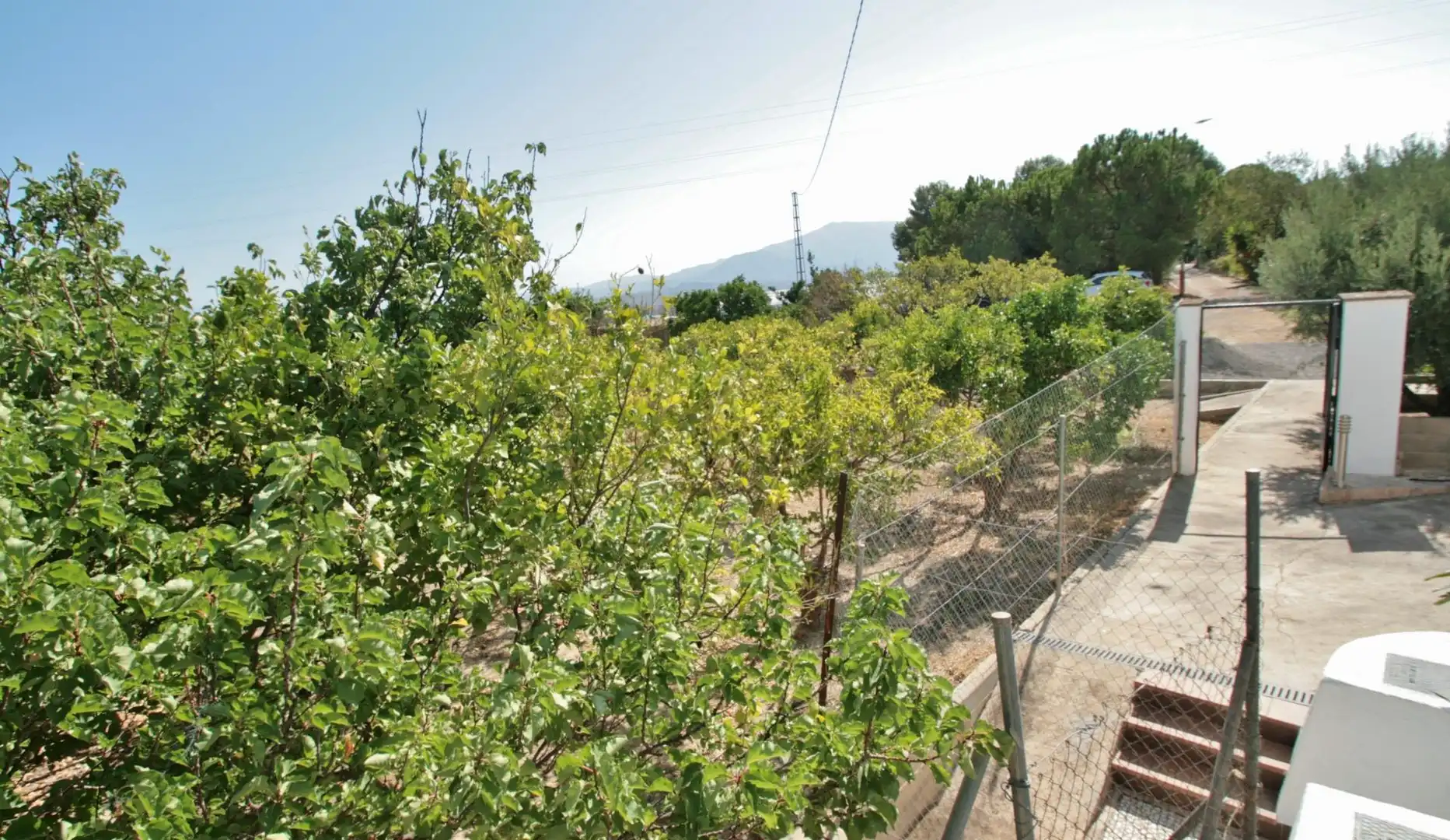 Jardín de Casa o chalet en venta en Alhama de Almería con Aire acondicionado, Jardín privado y Trastero
