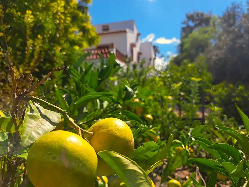 Exterior view of Houses for sale in Orba  with Air Conditioner, Private garden and Terrace