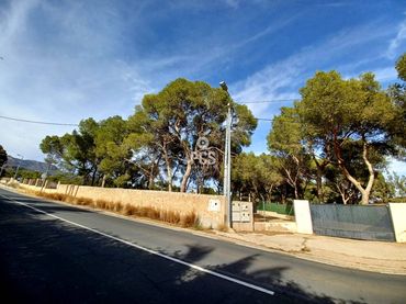 Terreno rustico in vendita a Calle Carretera de la Santa S/N