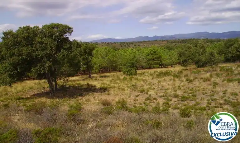 Terrenys i solars en venda a Garriguella, imagen 13