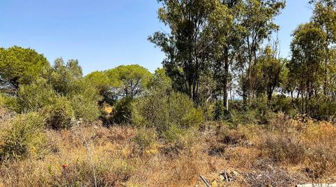 Foto 4 de Residencial en venda a C/ Laurel, la Reserva, Sotogrande Alto, Sotogrande