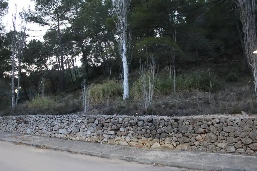 Terreny rústic en venda a ALDEA DE VALLFLOR, imagen 12