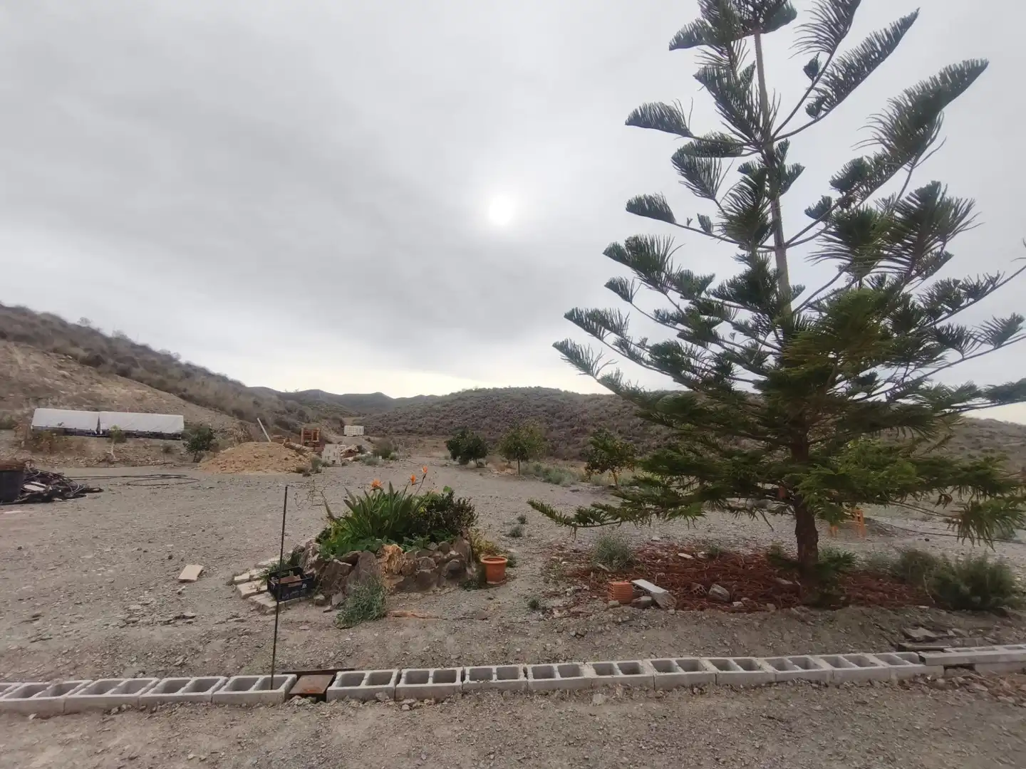 Casa amb jardí en venda a Tébar - Los Arejos, imagen 48