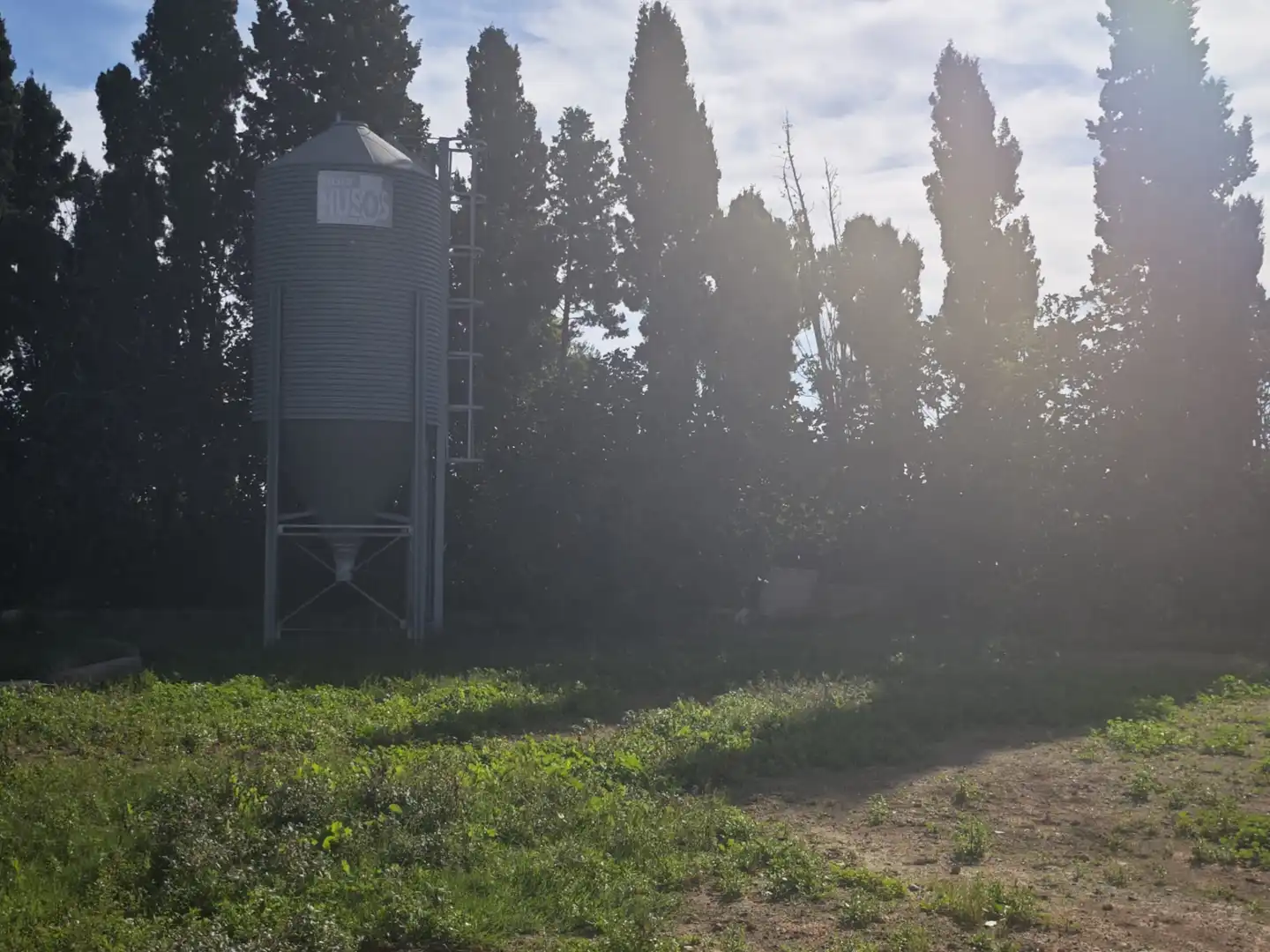 Casa o chalet en venta en Plaza de la Ermita, 2, Picassent