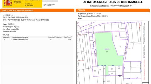 Terreno en peñaranda de duero, imatge 5