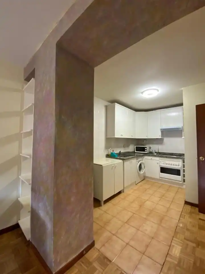 Kitchen of Apartments for rent in León Capital   with Heating, Parquet flooring and Furnished