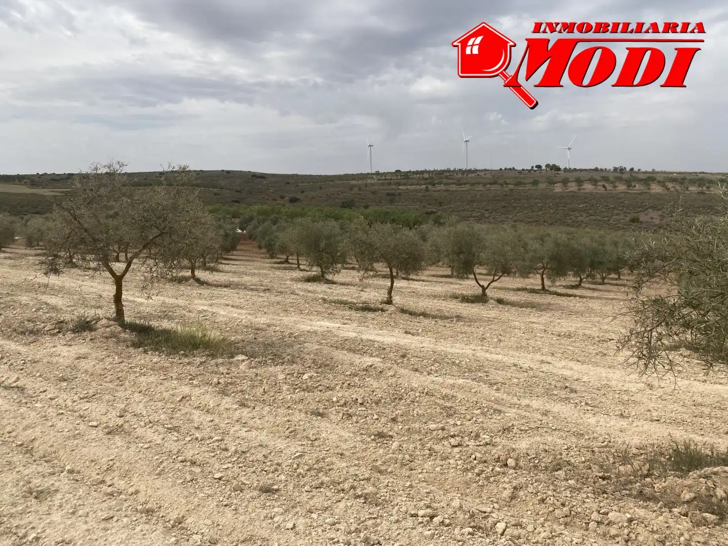 Terrenys i solars en venda a Padul, imagen 12