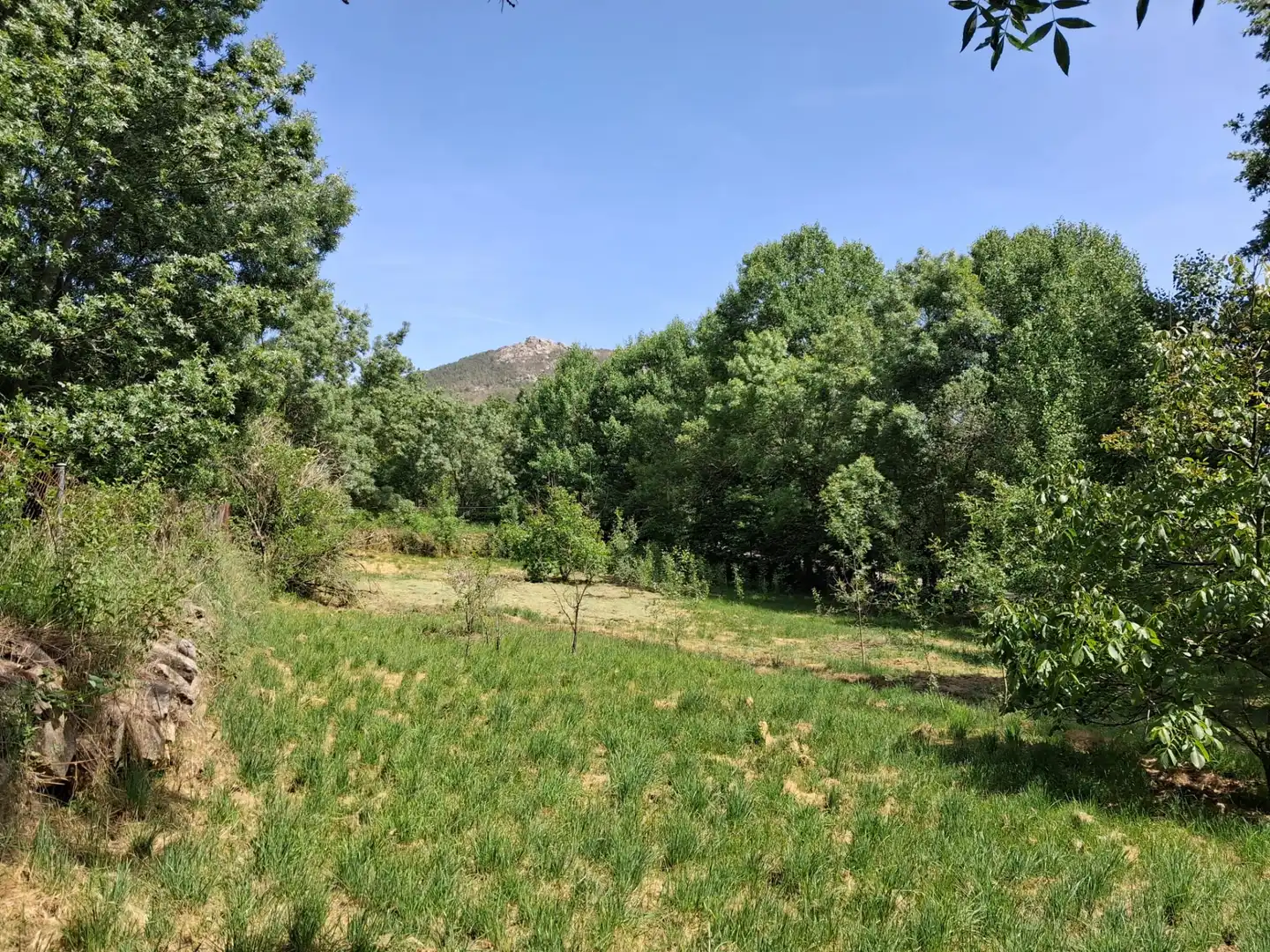 Rural land for sale in Calle del Concejo, imagen 10