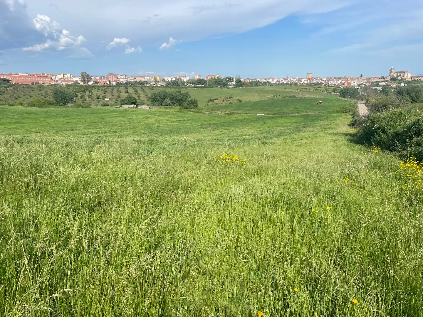 Terreni e lotti in vendita a Coria, imagen 4