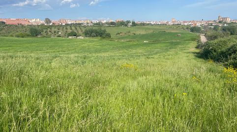Vista Alegre, immagine 3