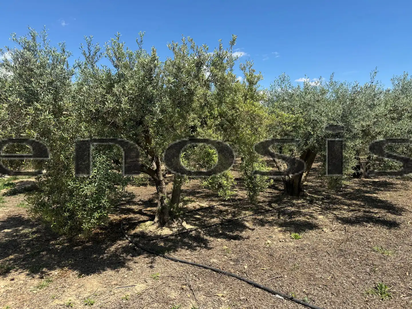 Country homes for sale in Torre-Pacheco  with Private garden, Furnished and Oven